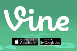 Vine